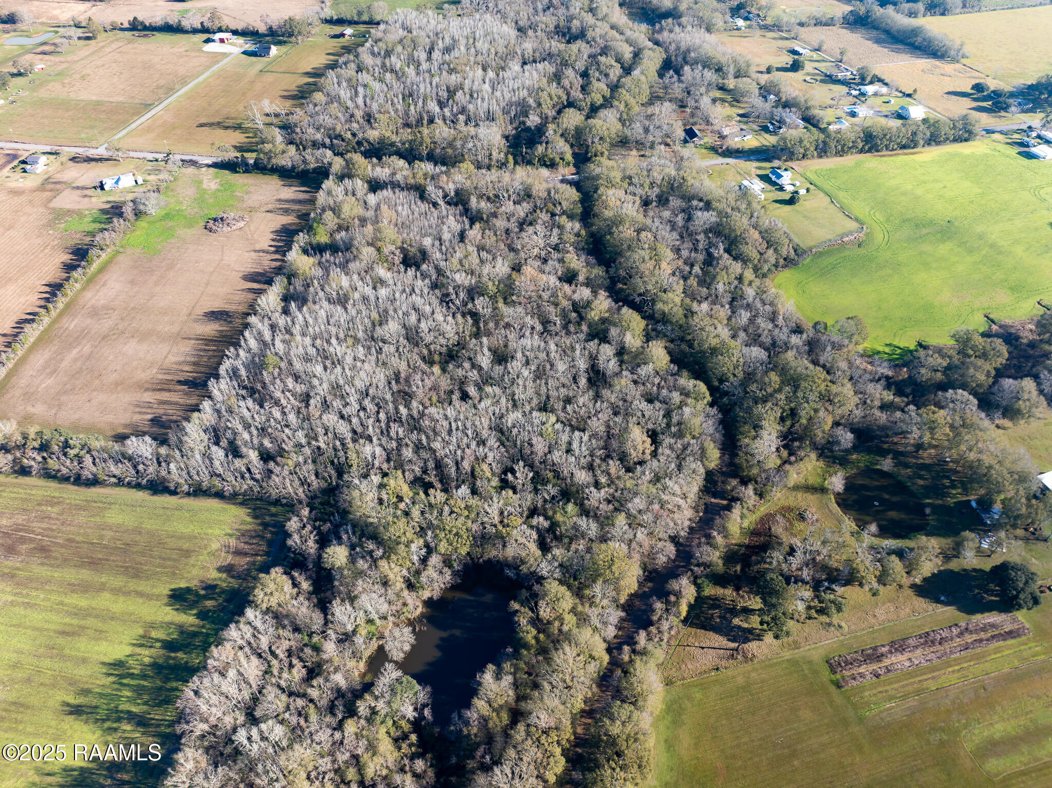 Tbd Tbd Noel Church Point Church Point, LA 70525 - Photo 6 of 8 PIC 5
