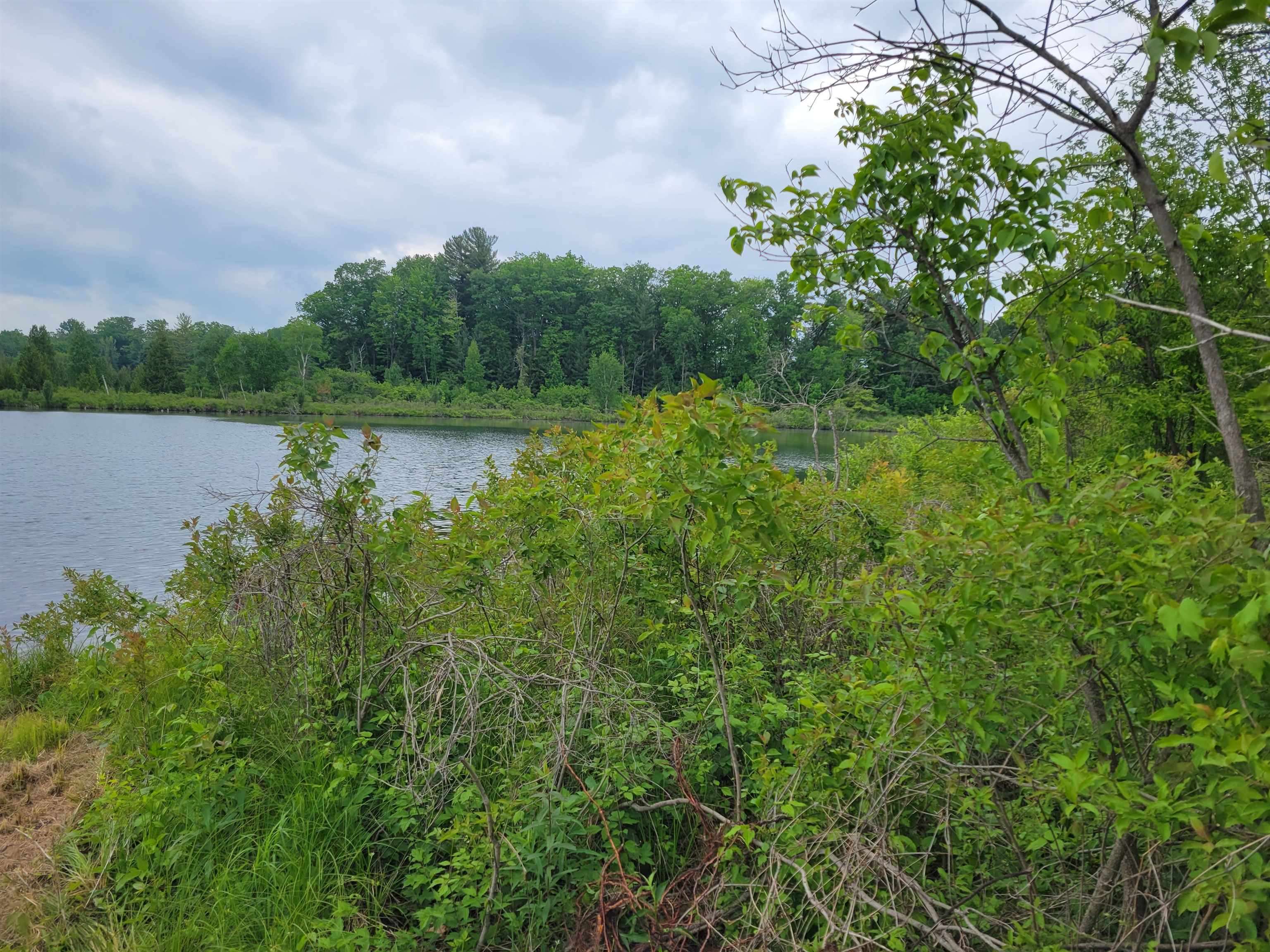 2 Simpson Trail Harrison, MI 48625 - Photo 3 of 6