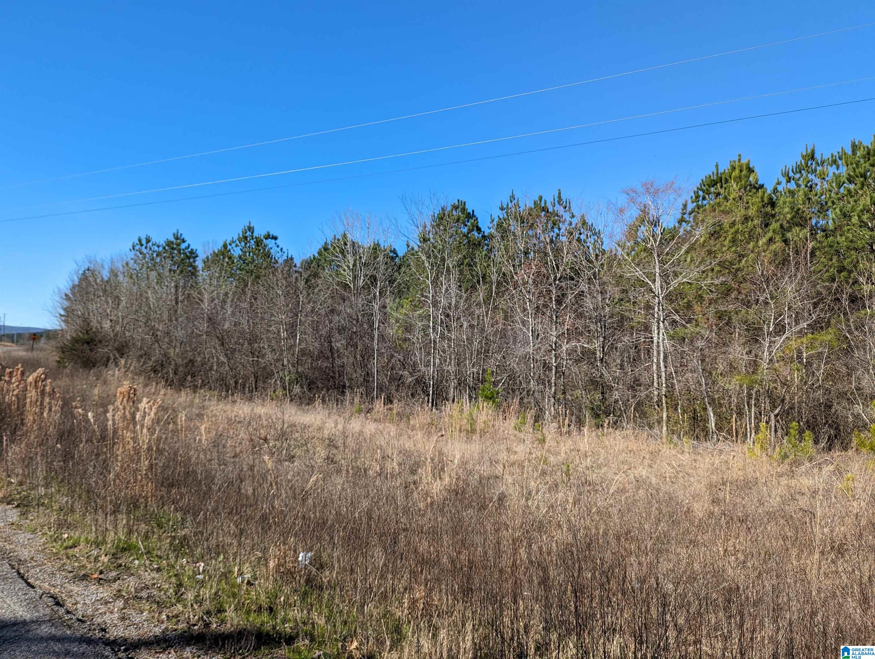 0 Chandler Springs Road Talladega, AL 35160 - Photo 25 of 35