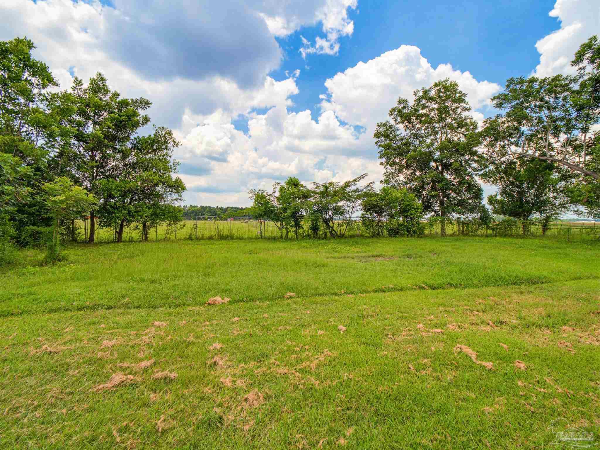 2451 Green Village Road McDavid, FL 32568 - Photo 45 of 47