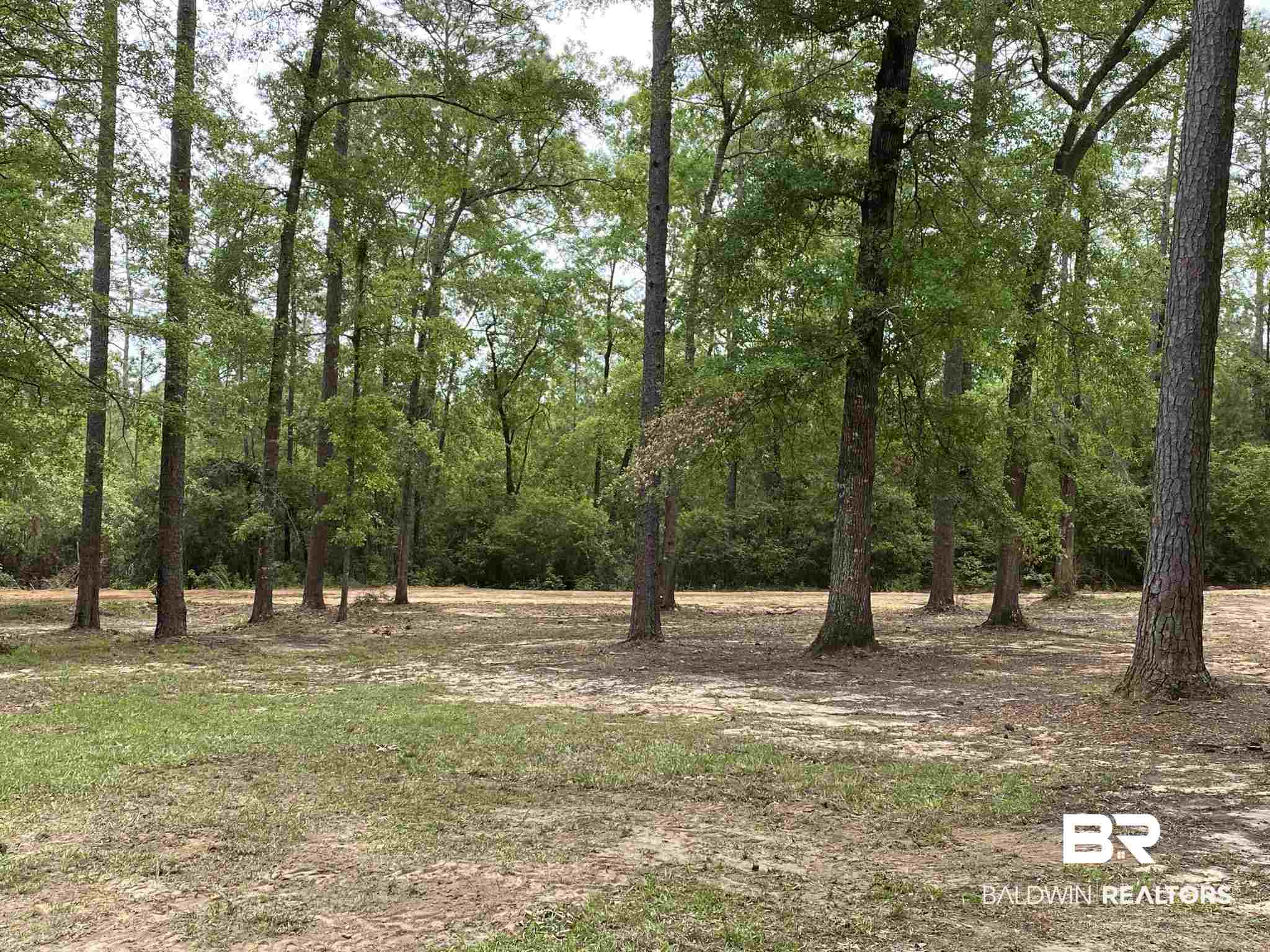 376 Tippens Eddy Road Brewton, AL 36426 - Photo 3 of 47