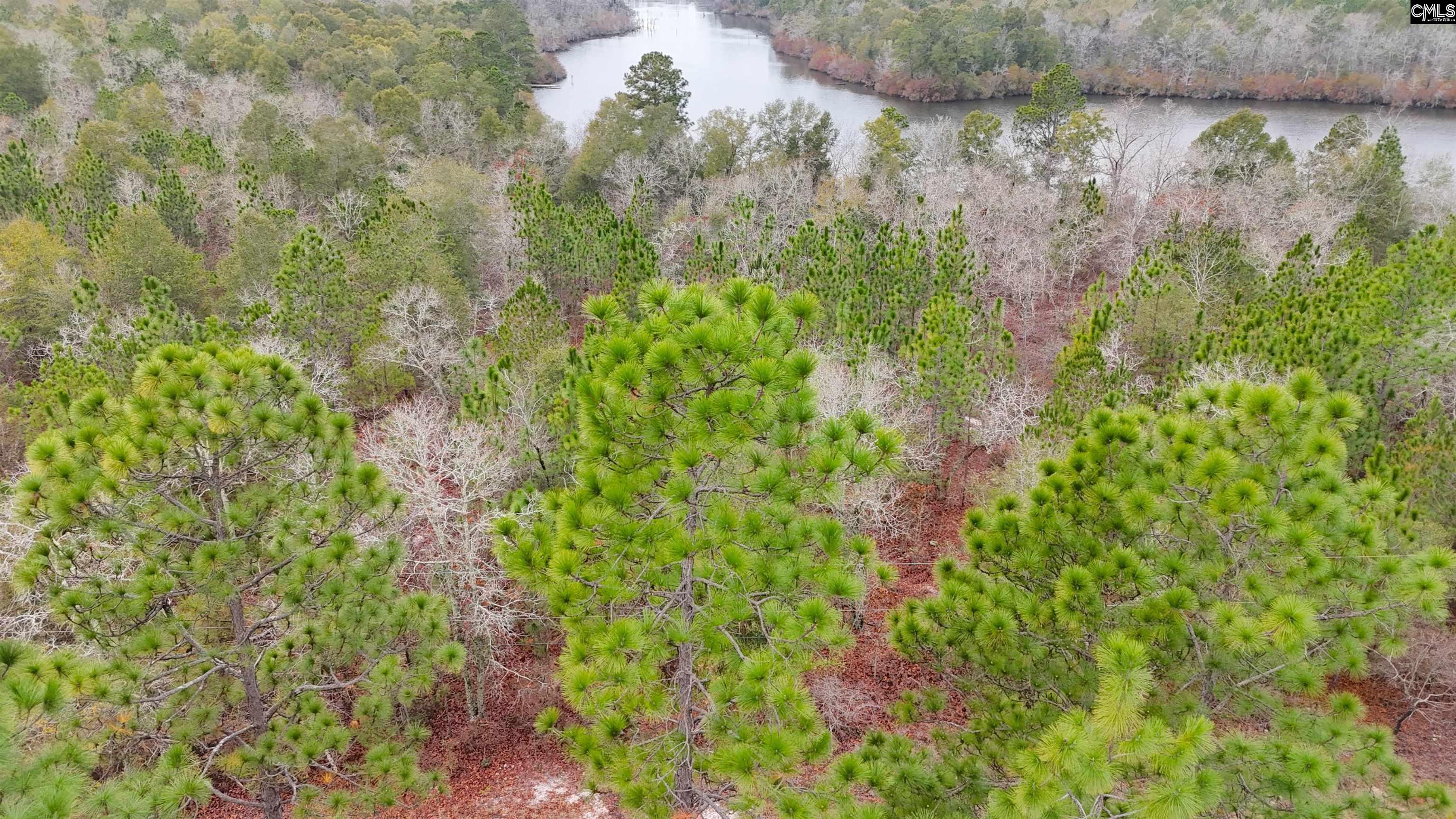 0 Browns Pond Road Salley, SC 29137 - Photo 3 of 4