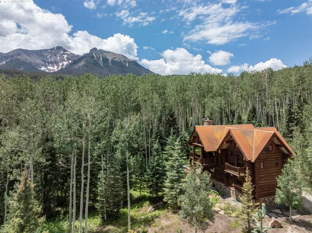 a view of a city with lush green forest