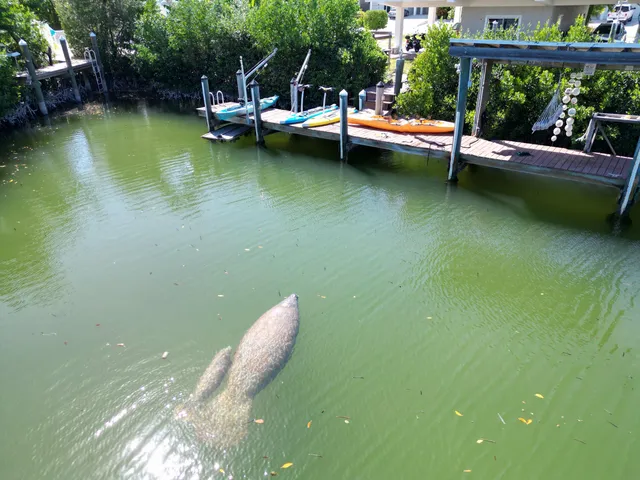 an aerial view of a house with outdoor space
