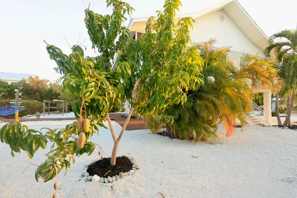 $1,500,100 | 91 Ave G, Marathon, FL 33050
