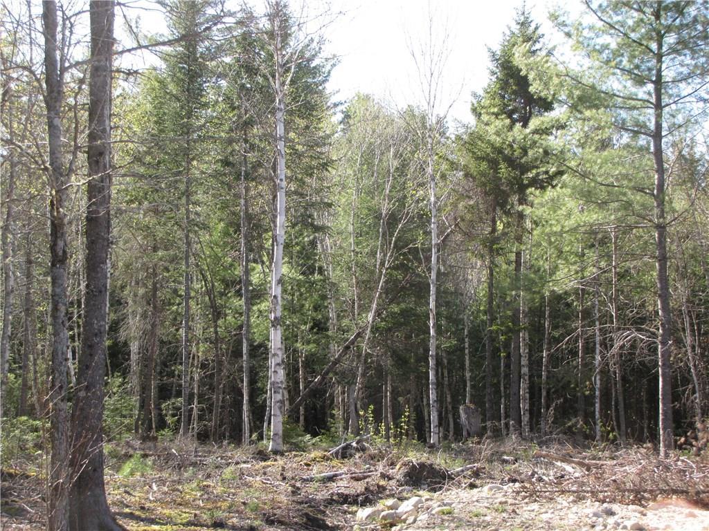 0 Kettle Ridge Road Northfield, ME 04654 - Photo 10 of 11 Photo