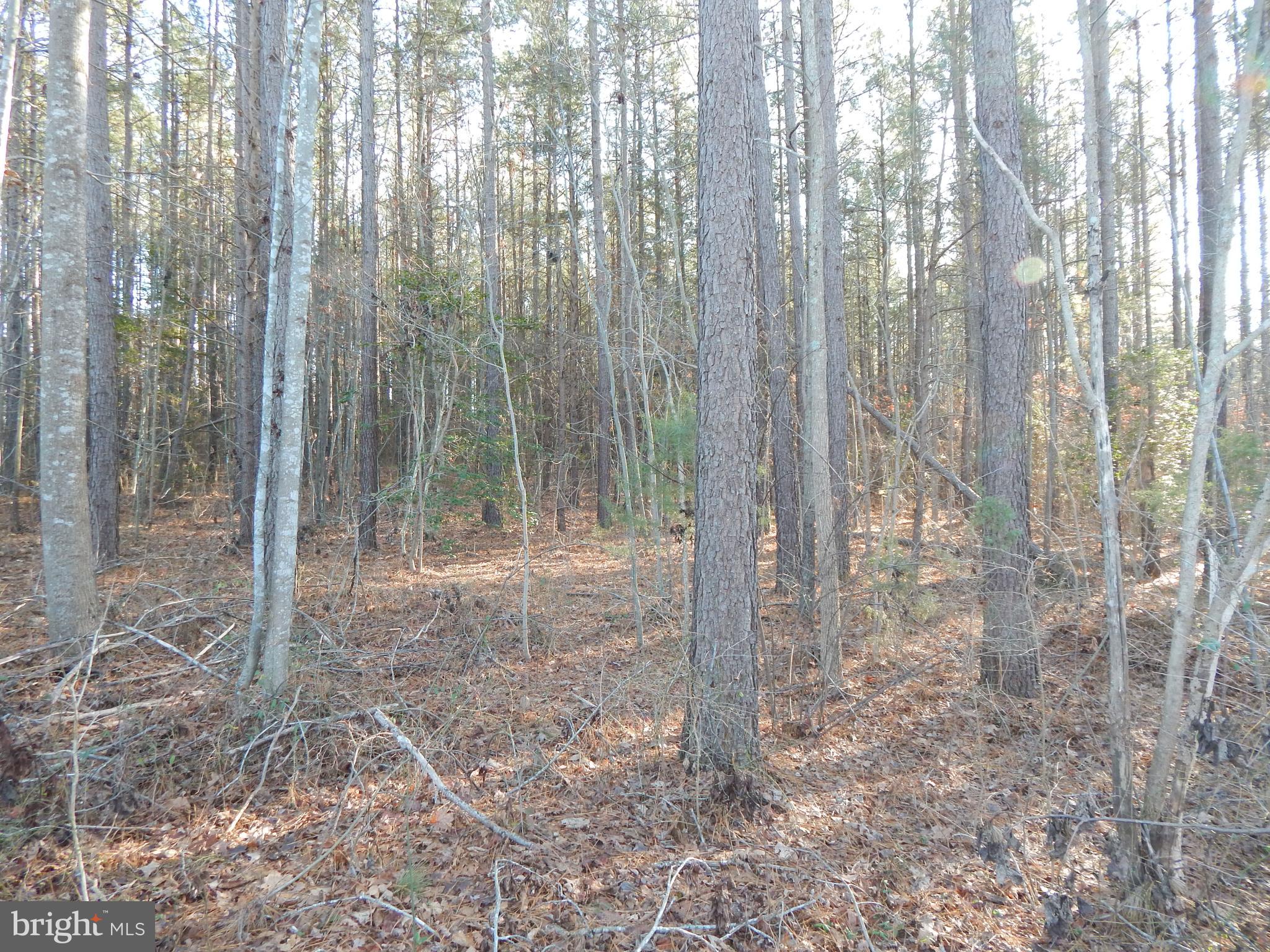 8604 Marye Road Partlow, VA 22534 - Photo 1 of 6 Gallery Image 1