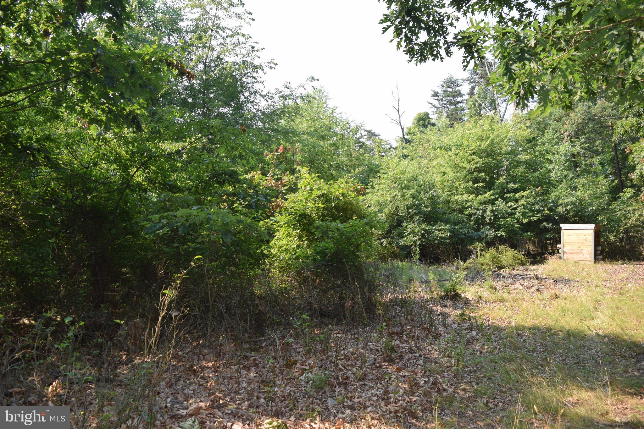 New Hope Road Berkeley Springs, WV 25411 - Photo 12 of 12