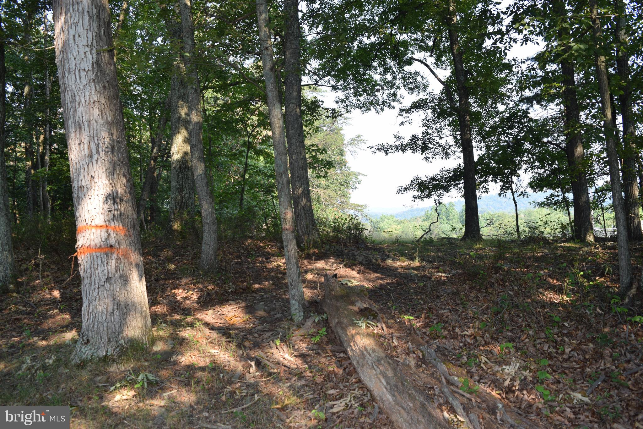 New Hope Road Berkeley Springs, WV 25411 - Photo 6 of 12