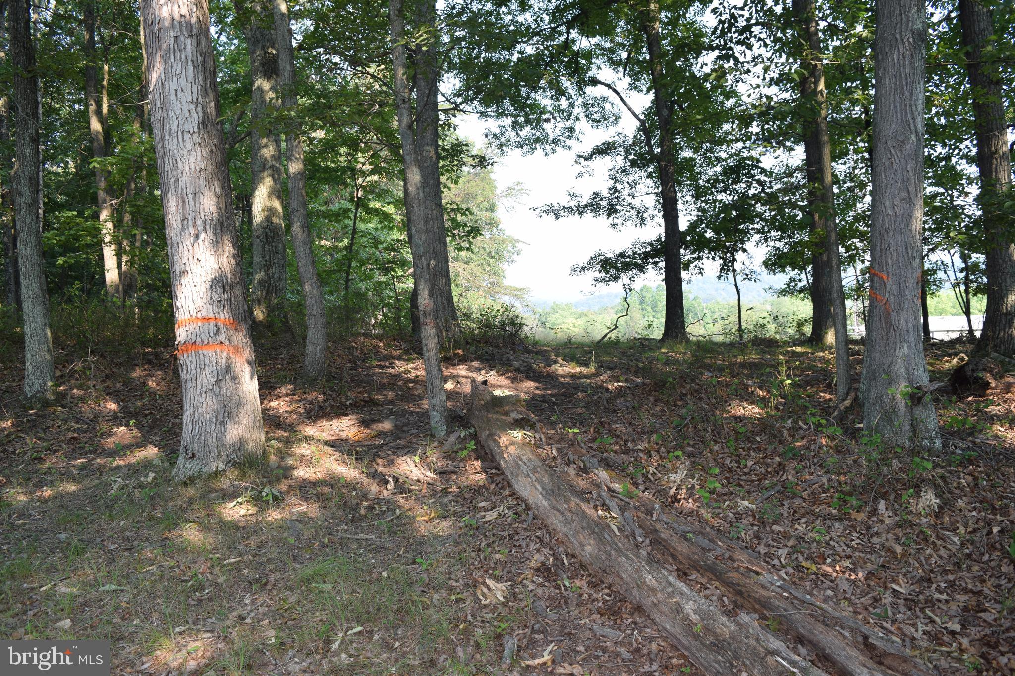 New Hope Road Berkeley Springs, WV 25411 - Photo 7 of 12
