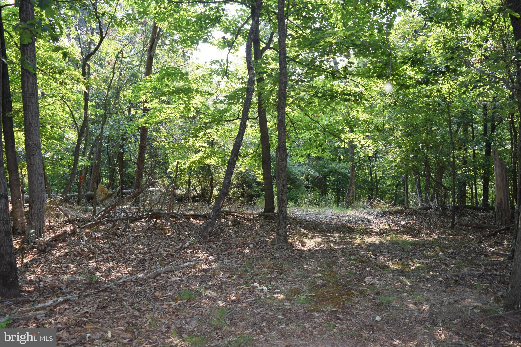 New Hope Road Berkeley Springs, WV 25411 - Photo 9 of 12