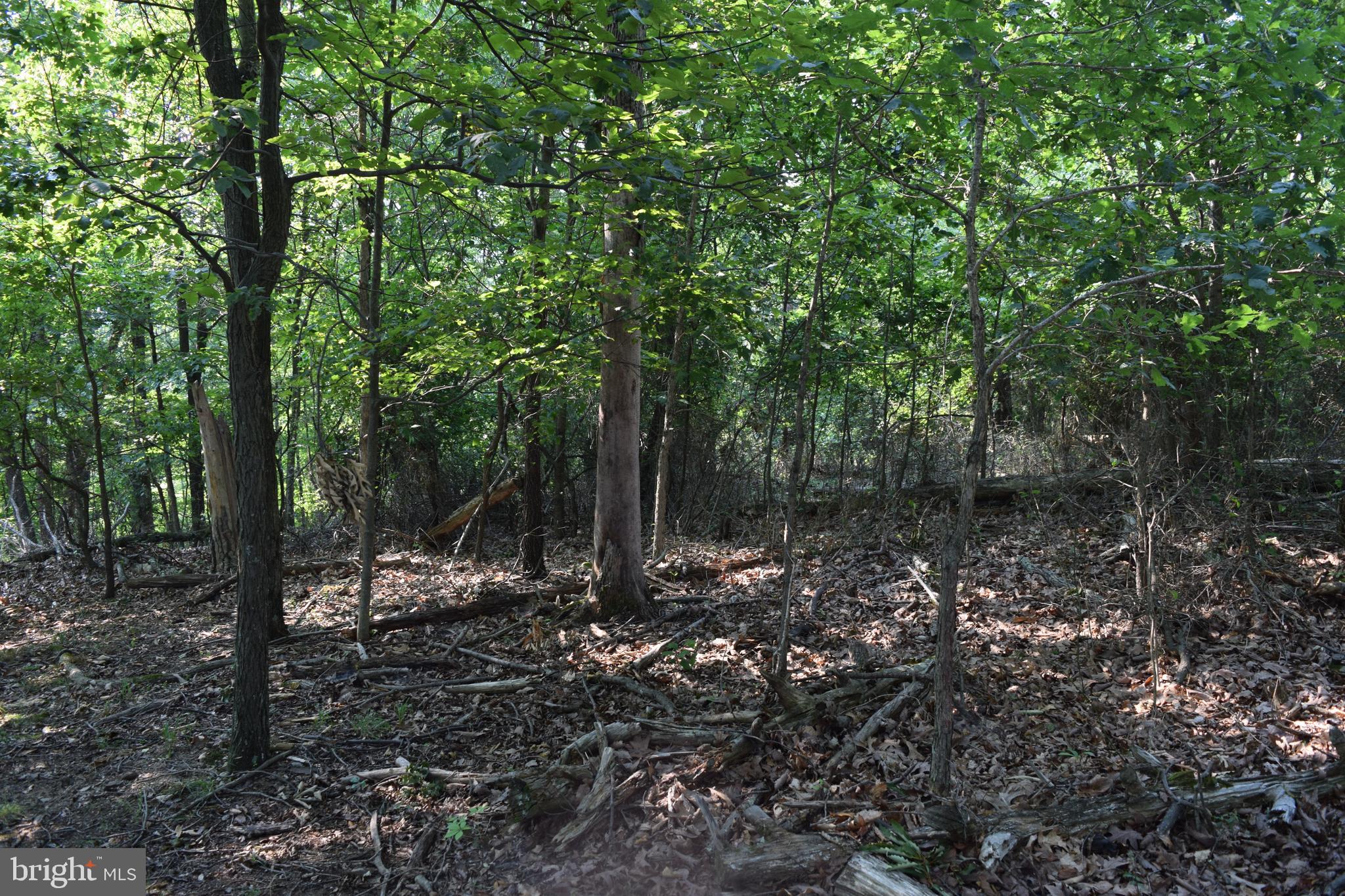 New Hope Road Berkeley Springs, WV 25411 - Photo 10 of 12