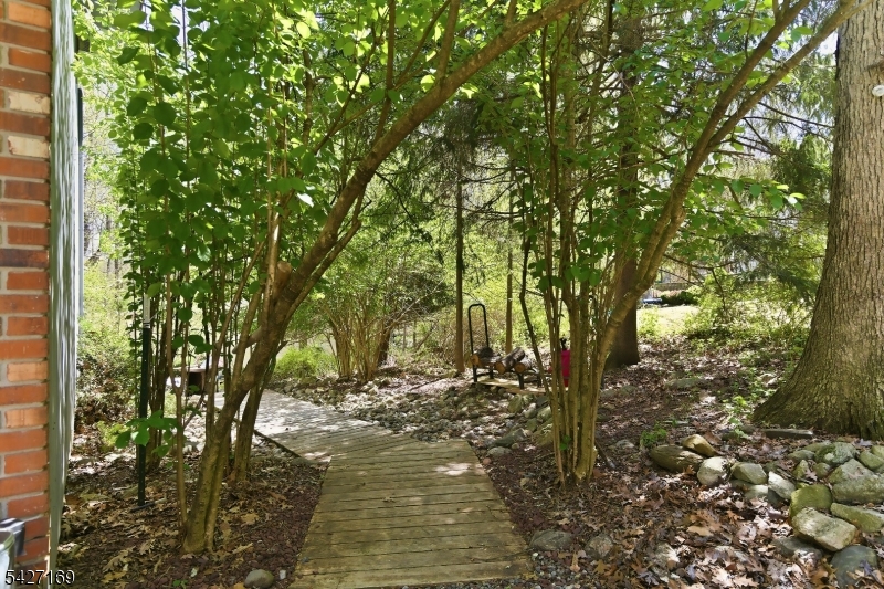 41 Crescent Drive South Andover, NJ 07821 - Photo 29 of 29 a view of tree covered with tall trees