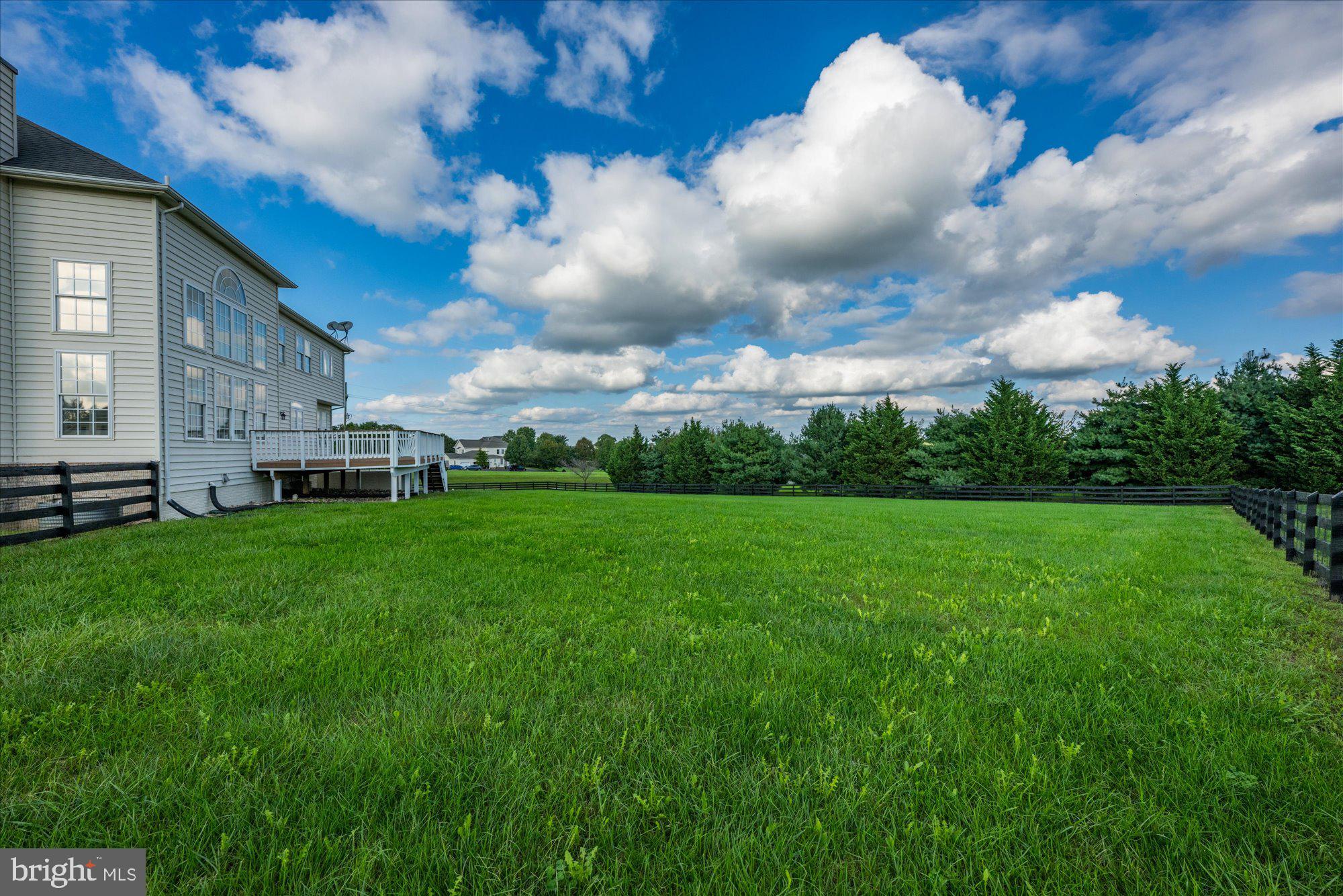 37957 Piggott Bottom Road Purcellville, VA 20132 - Photo 42 of 85 Huge, Flat, Fenced Backyard