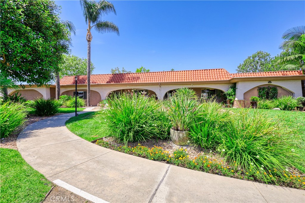 1001 West Lambert Road, Unit 258 La Habra, CA 90631 - Photo 64 of 75 a view of a garden with potted plants