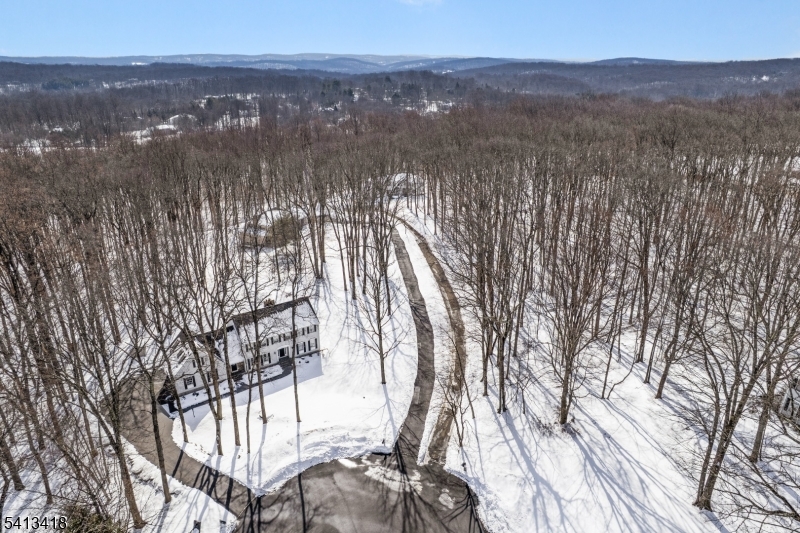 31 Warren Cutting Road Chester, NJ 07930 - Photo 32 of 37