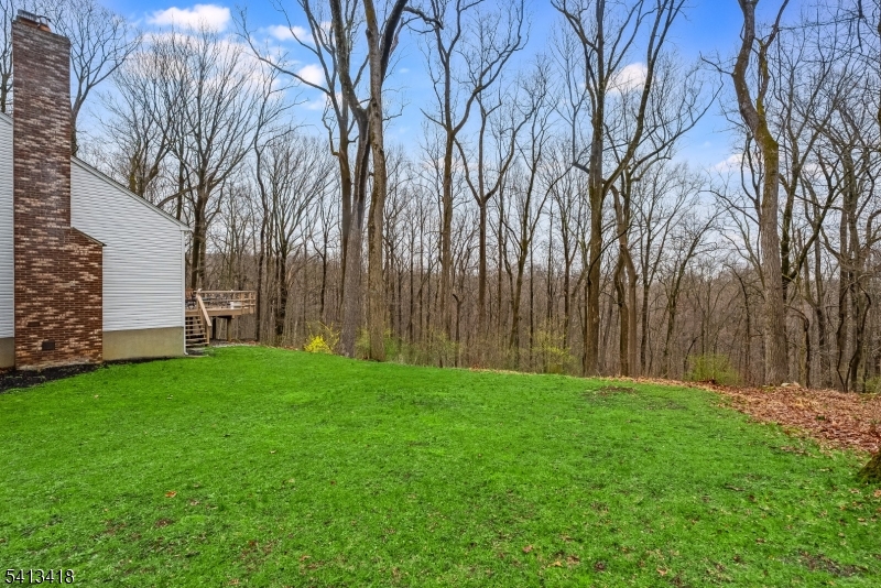 31 Warren Cutting Road Chester, NJ 07930 - Photo 33 of 35 a view of a backyard with large trees