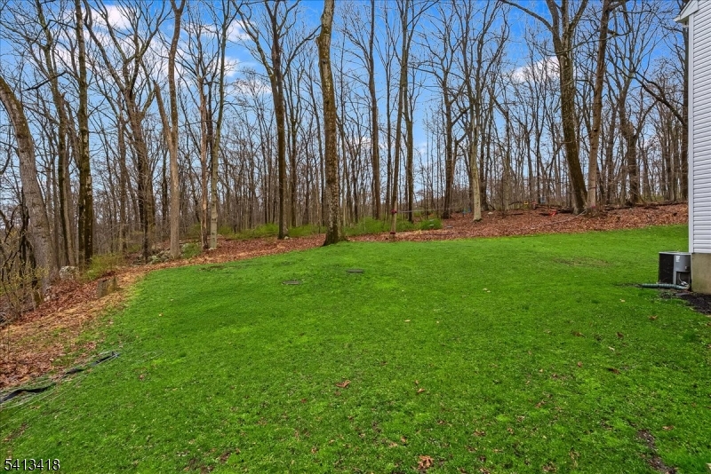 31 Warren Cutting Road Chester, NJ 07930 - Photo 37 of 37 a backyard of apartments with large trees