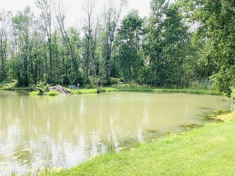 3170 East Whitefeather Road Pinconning, MI 48650 - Photo 10 of 51