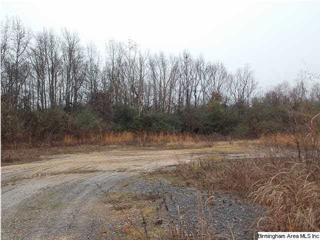 3037 Swann Bridge Road, Unit 2 3 ACRE Cleveland, AL 35049 - Photo 1 of 4