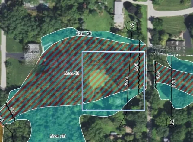 a view of a trees in a yard