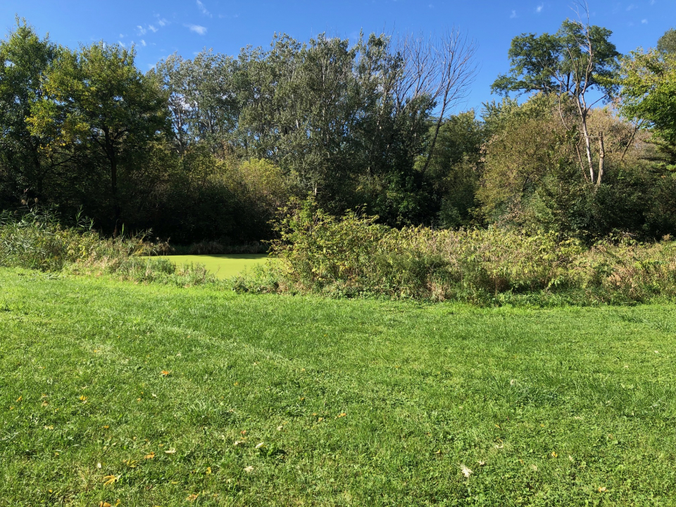 330 Poteet Avenue Inverness, IL 60067 - Photo 4 of 6 a view of a garden