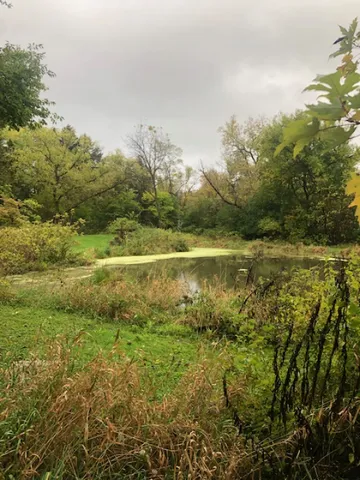 a view of a backyard of the house