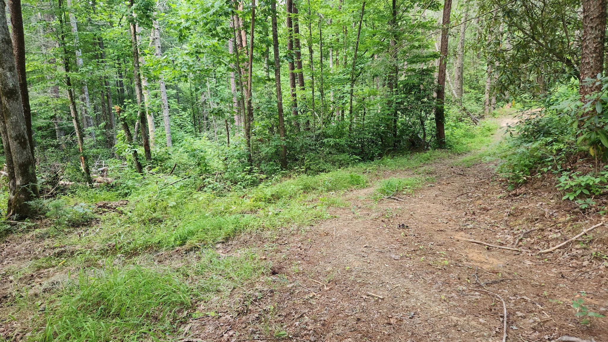 0 Tumbling Creek Road Copperhill, TN 37317 - Photo 30 of 62
