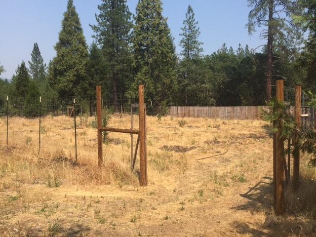 2646 Cedar Flat Road Williams, OR 97544 - Photo 4 of 22 Additional Photo