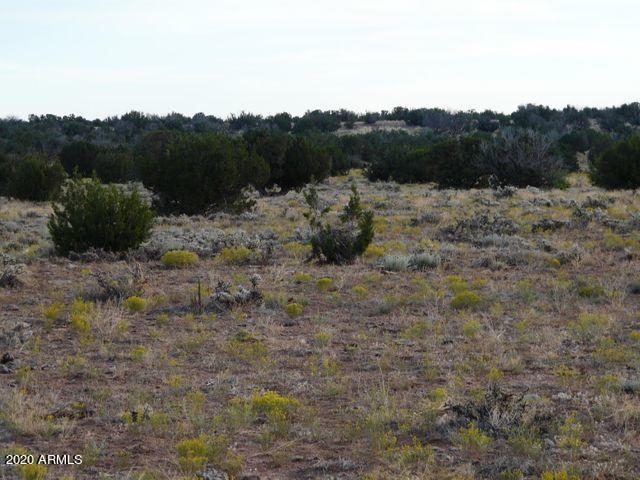 6 T14n R17e: Se4 Se4 Sw4 Overgaard, AZ 85933 - Photo 2 of 3 Picture2