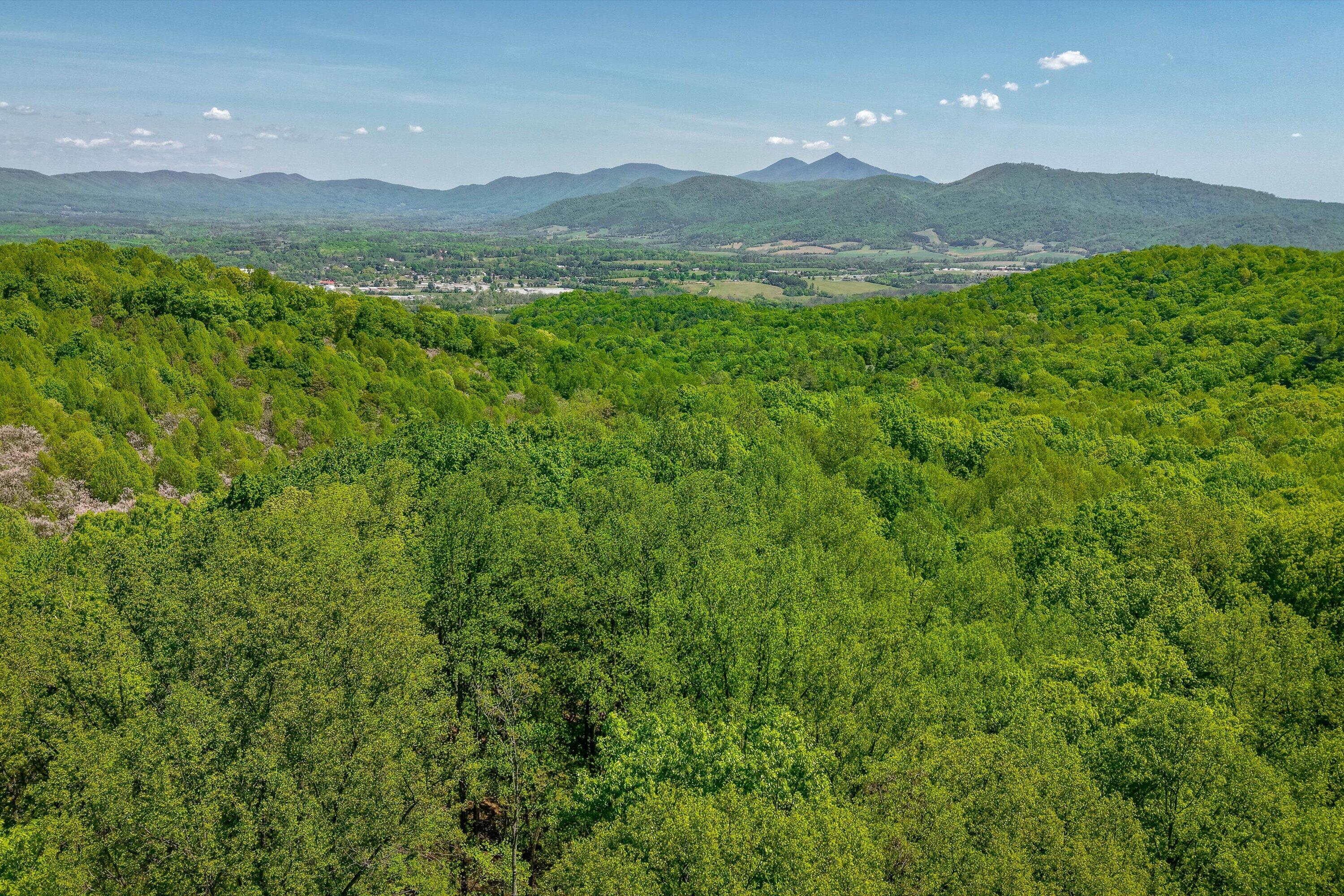 24064 Tbd Audrey Lane Blue Ridge, VA 24064 - Photo 16 of 42 07-Otter Mountain Drive-6