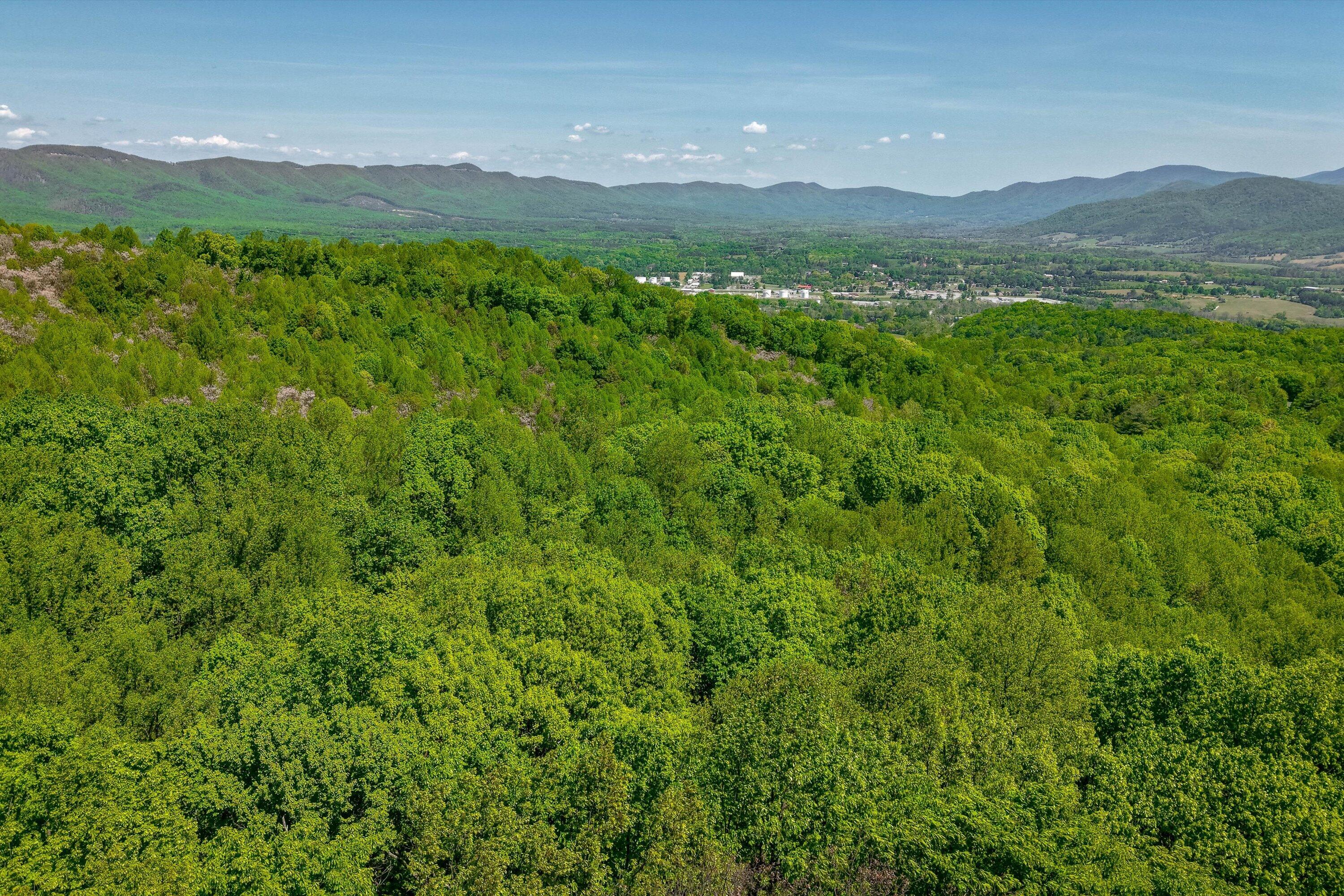 24064 Tbd Audrey Lane Blue Ridge, VA 24064 - Photo 18 of 42 08-Otter Mountain Drive-7