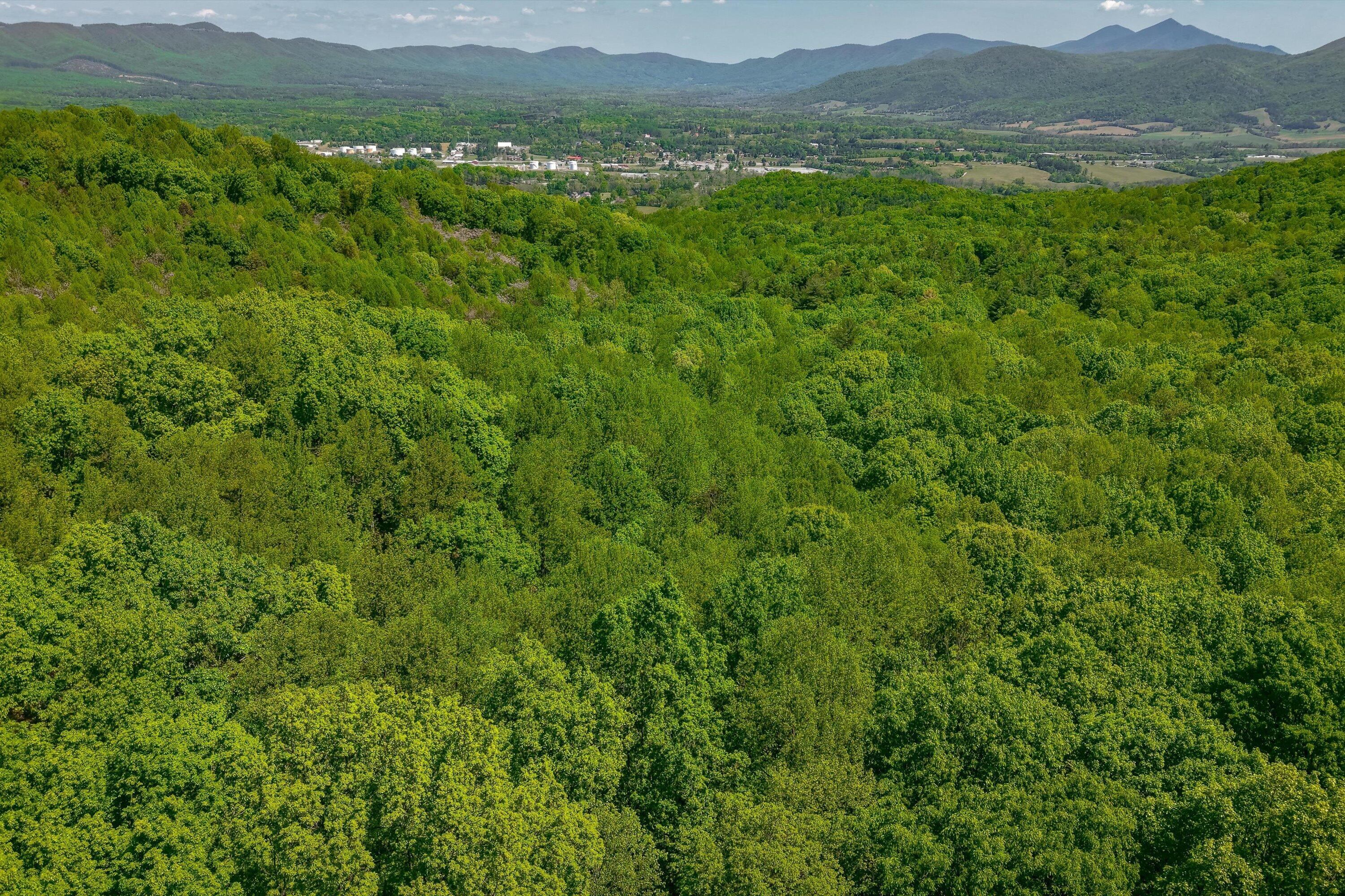 24064 Tbd Audrey Lane Blue Ridge, VA 24064 - Photo 20 of 42 09-Otter Mountain Drive-8