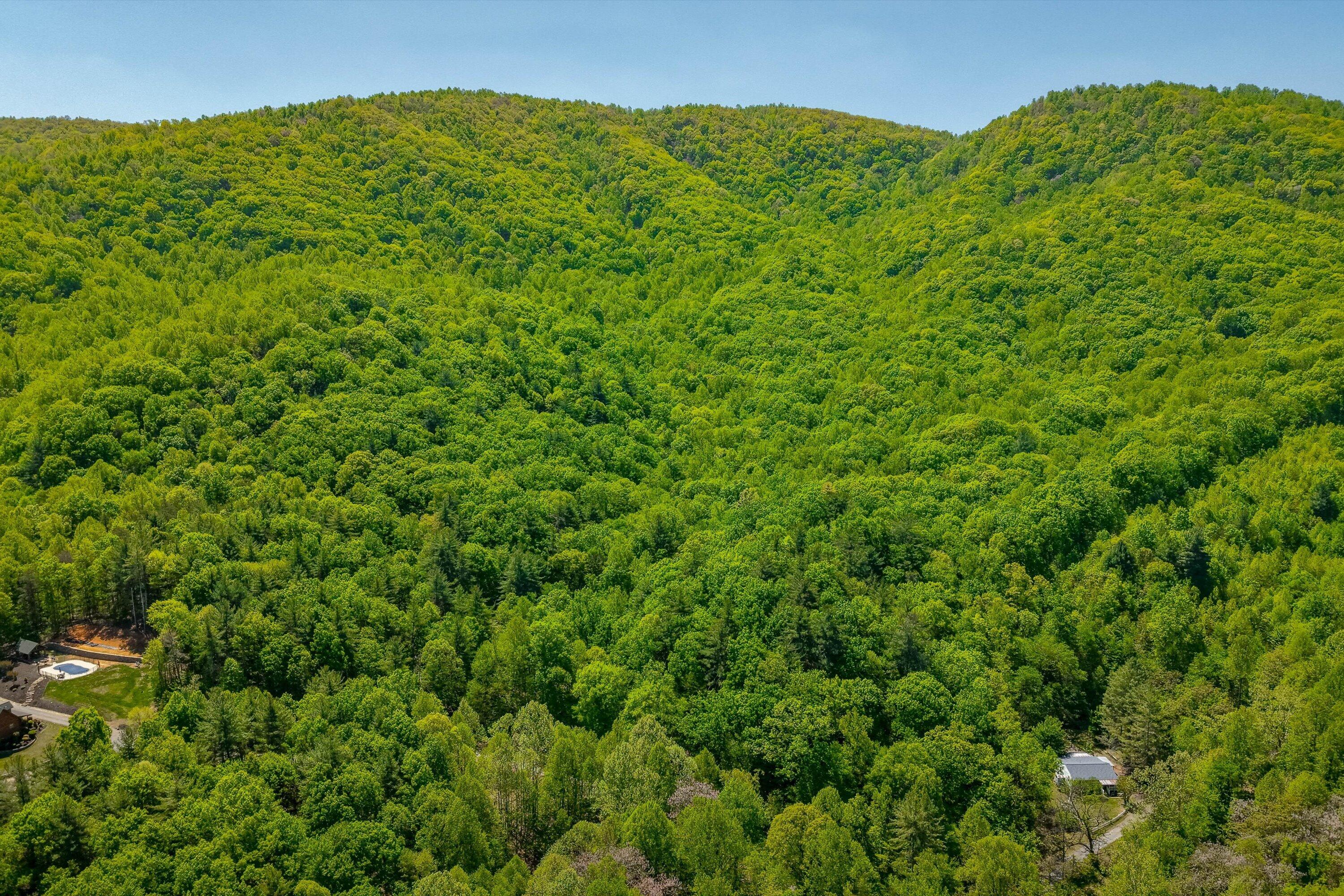 24064 Tbd Audrey Lane Blue Ridge, VA 24064 - Photo 23 of 42 11-Otter Mountain Drive-10