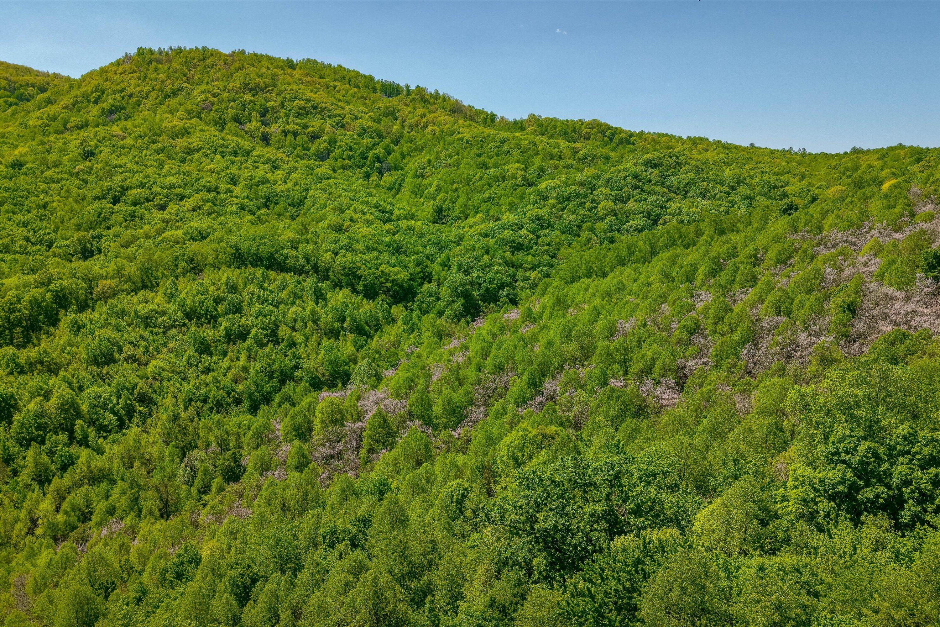 24064 Tbd Audrey Lane Blue Ridge, VA 24064 - Photo 24 of 42 12-Otter Mountain Drive-12