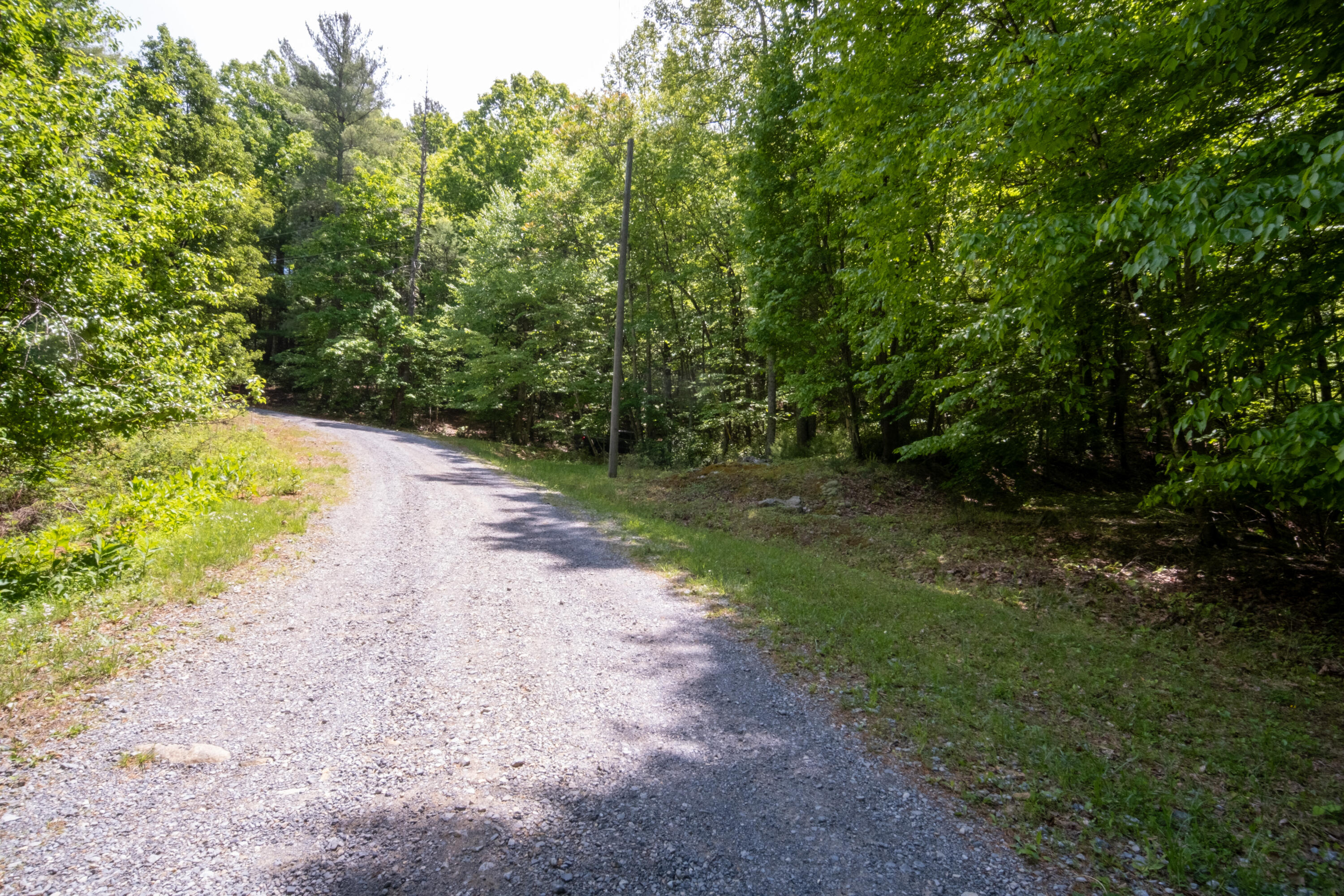 24064 Tbd Audrey Lane Blue Ridge, VA 24064 - Photo 4 of 42 11