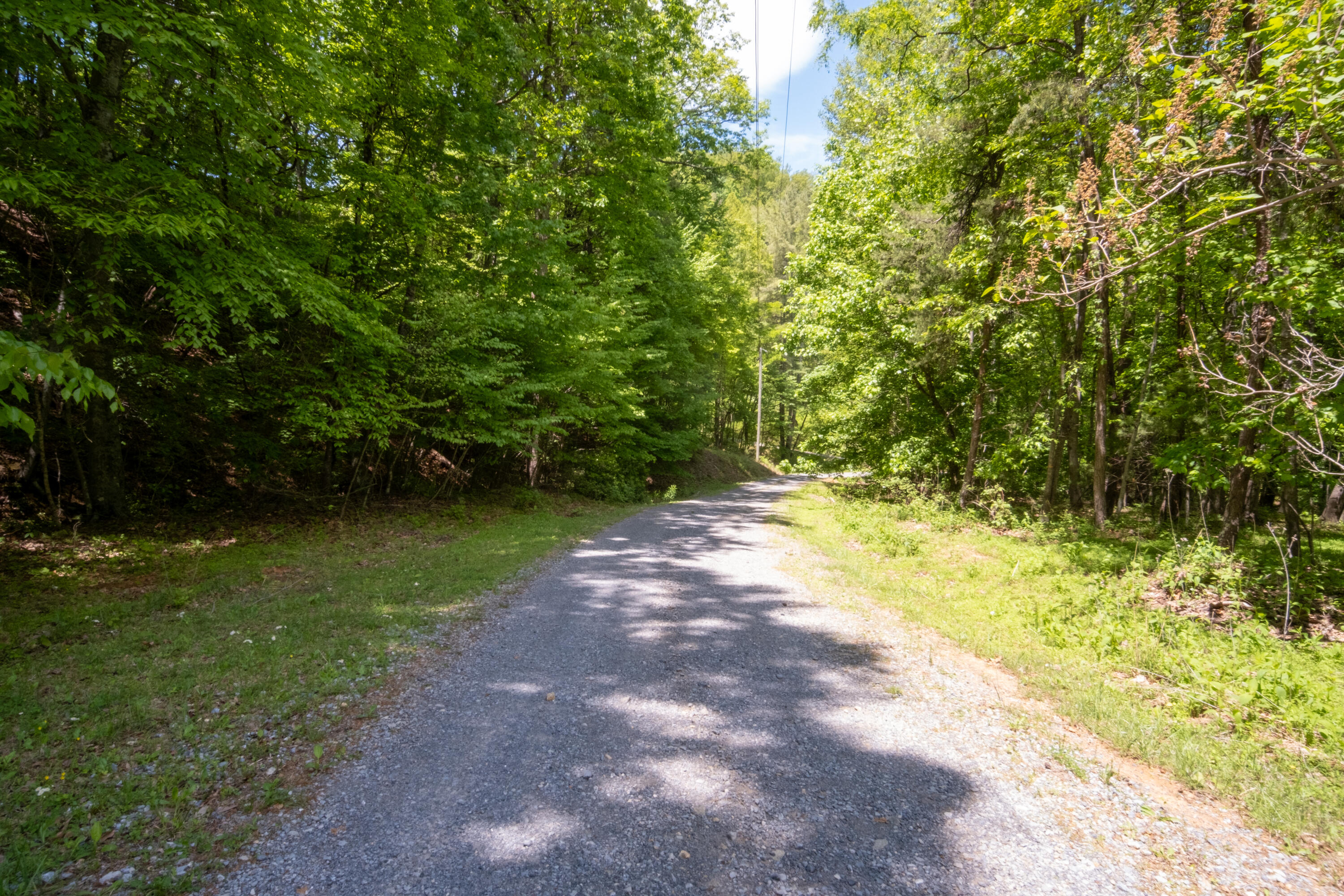 24064 Tbd Audrey Lane Blue Ridge, VA 24064 - Photo 5 of 42 10