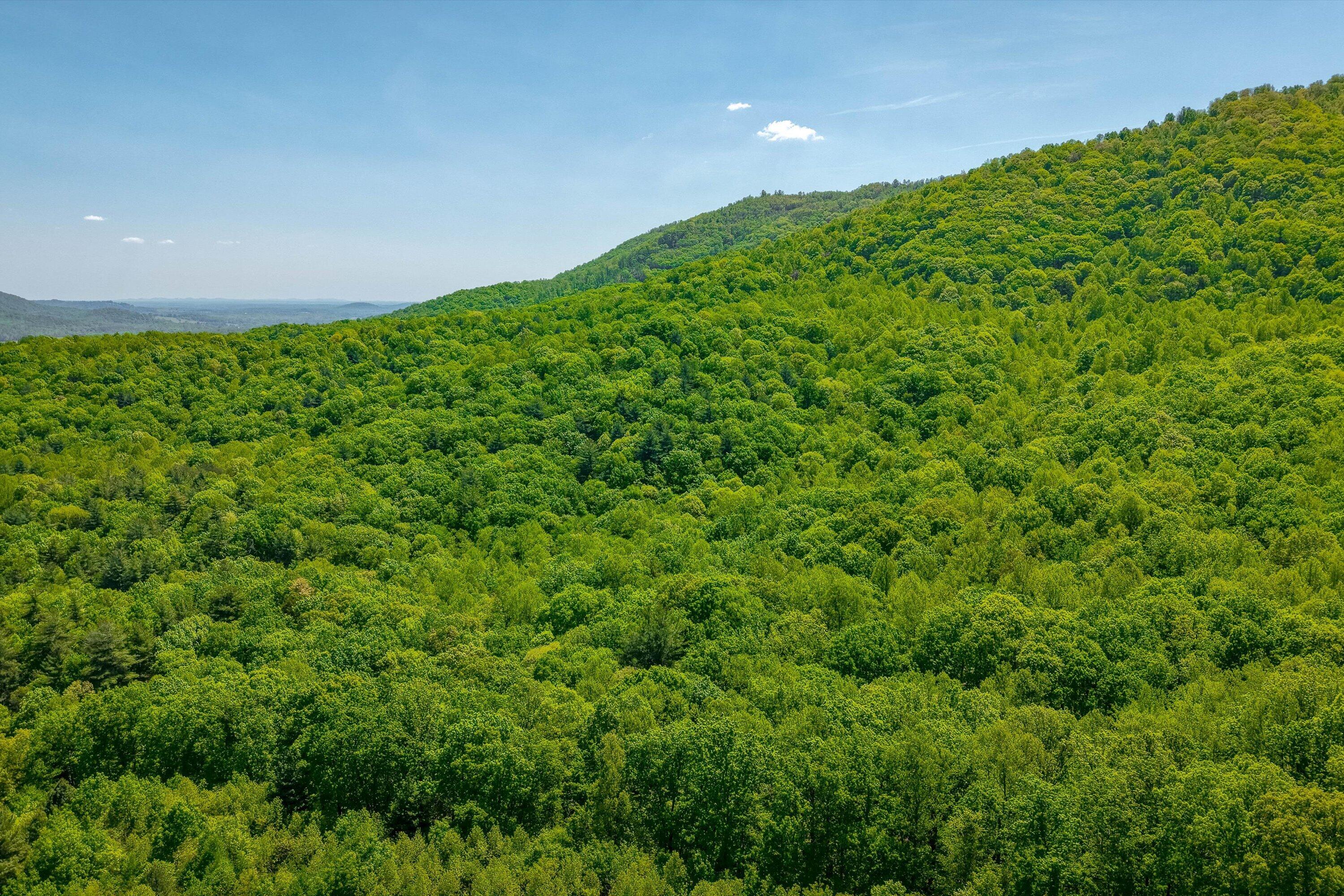 24064 Tbd Audrey Lane Blue Ridge, VA 24064 - Photo 7 of 42 02-Otter Mountain Drive-1