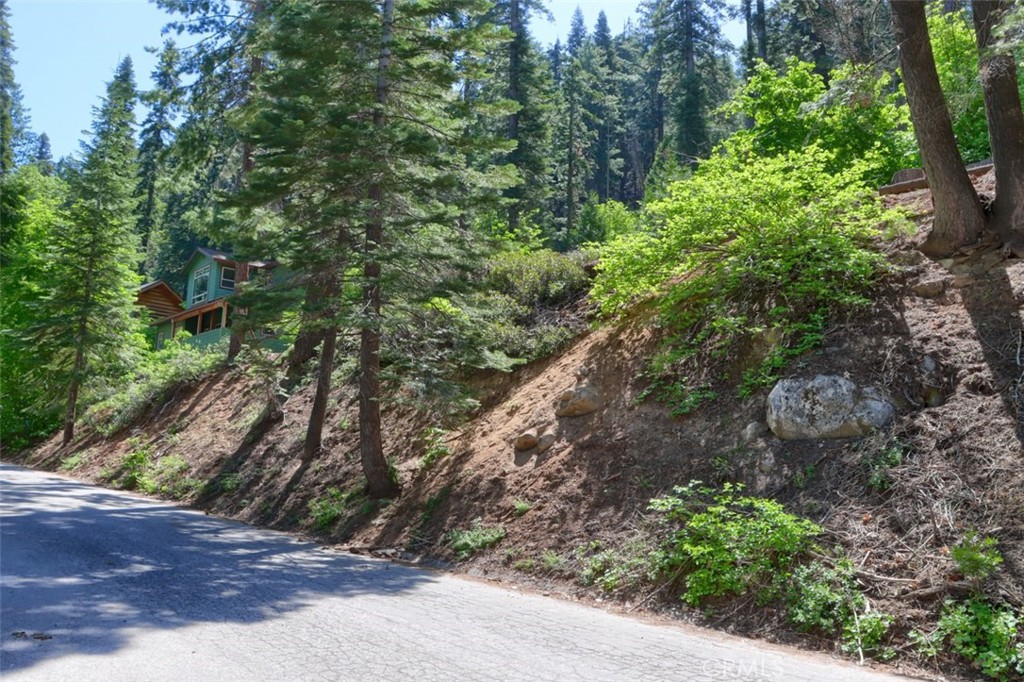 7420 Henness Ridge Road Yosemite National Park, CA 95389 - Photo 11 of 29 a view of a yard with plants and large trees