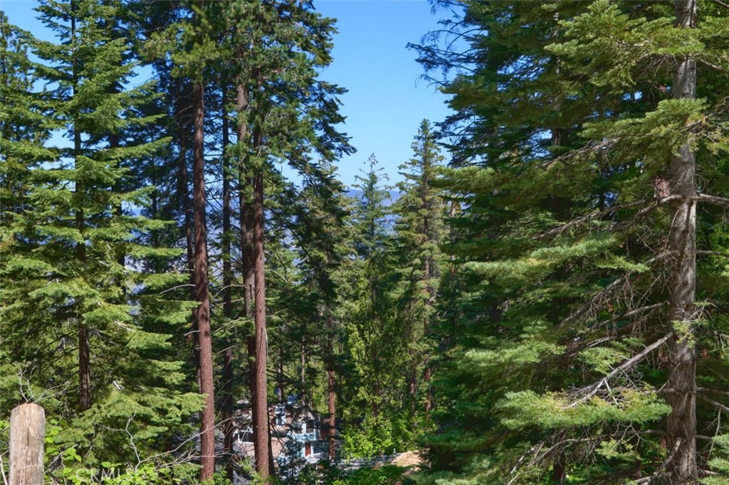 7420 Henness Ridge Road Yosemite National Park, CA 95389 - Photo 13 of 29 a view of a tree