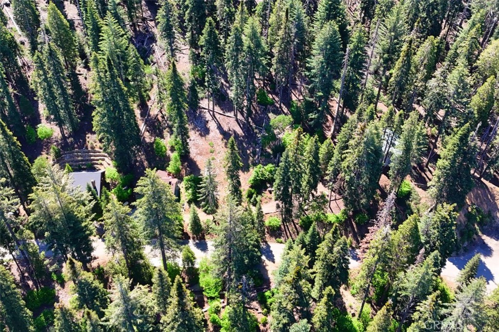 7420 Henness Ridge Road Yosemite National Park, CA 95389 - Photo 16 of 29 a view of a tree