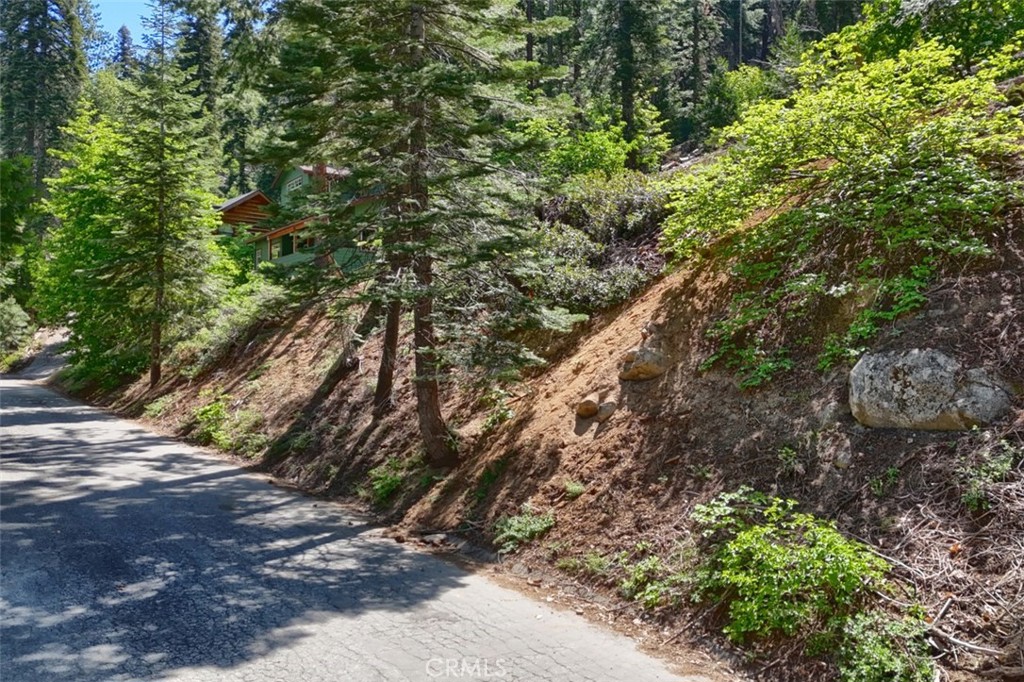 7420 Henness Ridge Road Yosemite National Park, CA 95389 - Photo 17 of 29 a view of a forest with a tree