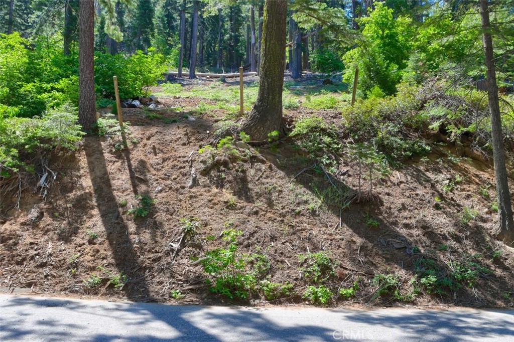 7420 Henness Ridge Road Yosemite National Park, CA 95389 - Photo 19 of 29 a view of a yard with plants and large trees