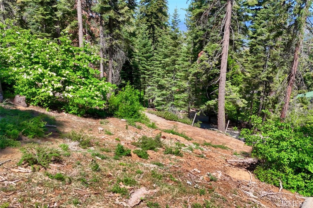 7420 Henness Ridge Road Yosemite National Park, CA 95389 - Photo 5 of 29 a view of a garden with plants