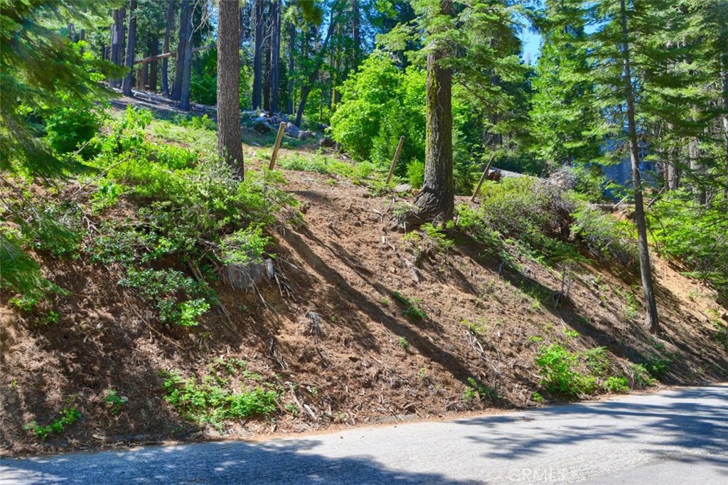7420 Henness Ridge Road Yosemite National Park, CA 95389 - Photo 7 of 29 a view of a yard with plants and large trees