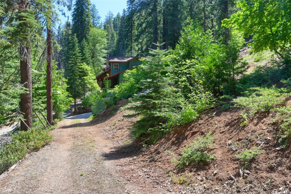 7420 Henness Ridge Road Yosemite National Park, CA 95389 - Photo 9 of 29 a view of a pathway both side of yard
