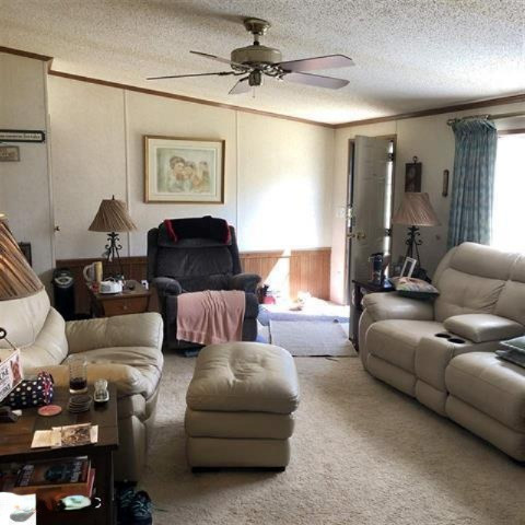 3085 North 3 1/4 Road Mesick, MI 49668 - Photo 10 of 18 3085 liv rm