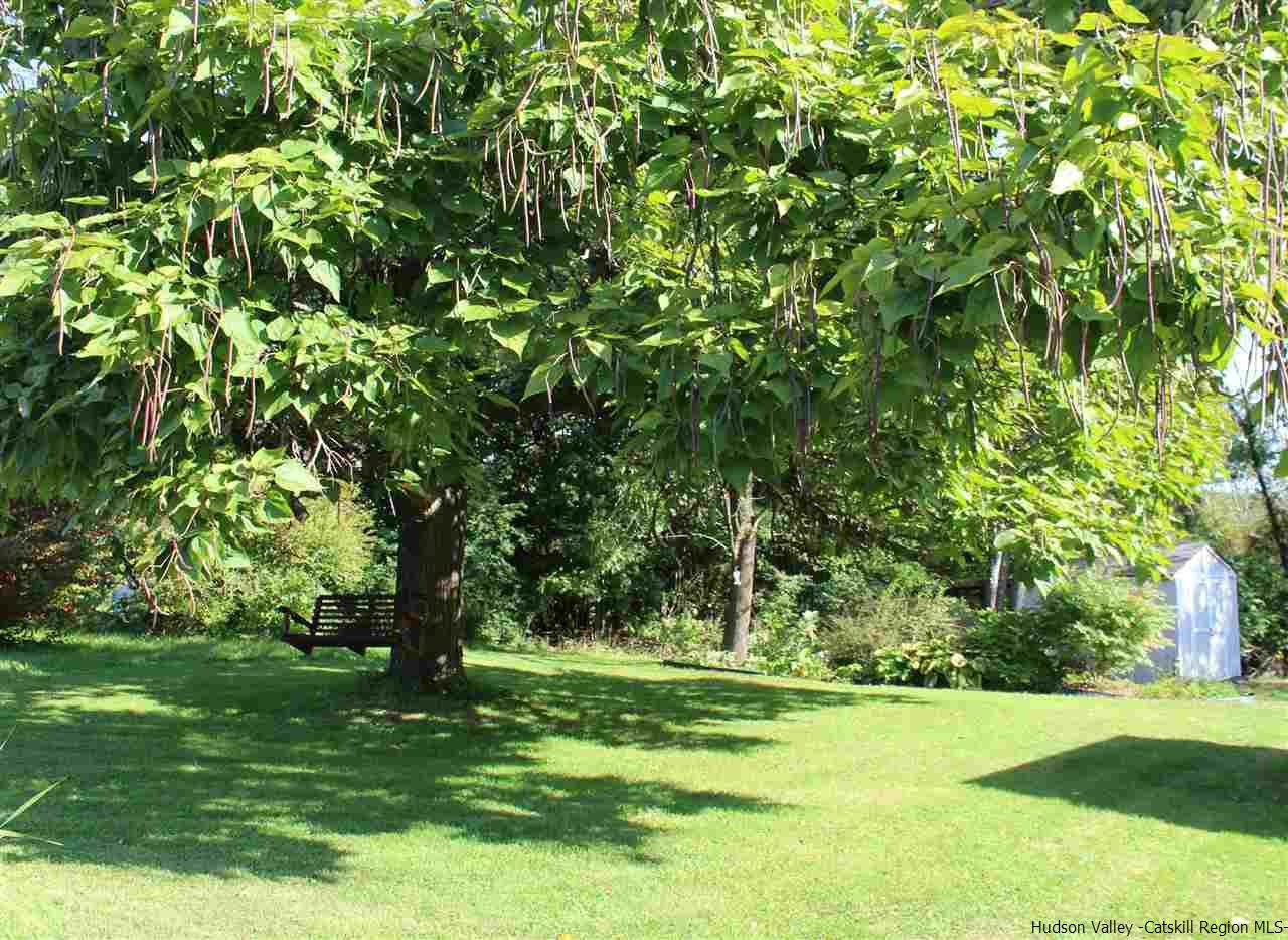 170 Samsonville Road Kerhonkson, NY 12446 - Photo 23 of 35 a view of a trees in a yard