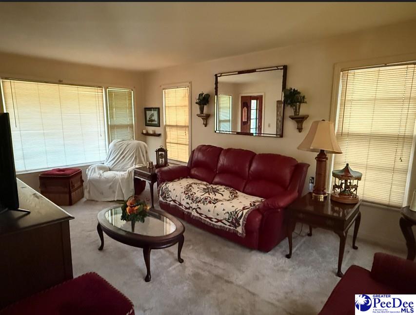 2653 Patty Road Cades, SC 29518 - Photo 16 of 42 Gallery Image 16