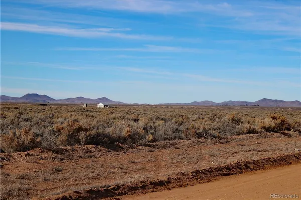 a close up of a plant
